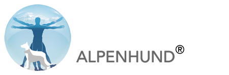 alpenhund hundeschule
